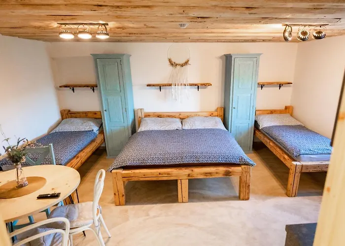 Guest house - Vinarstvi Hanus 3*